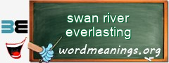 WordMeaning blackboard for swan river everlasting